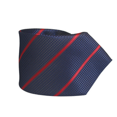 BLUE & RED STRIPED AND TEXTURED TIE